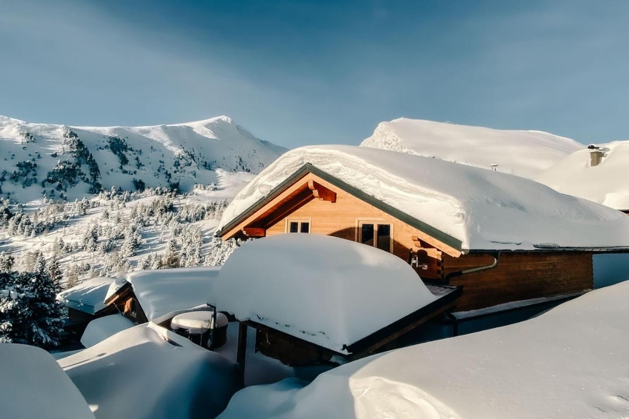Heidi Chalets Falkert Heidialm - Chalets Bergwinter Patergassen 외부 사진