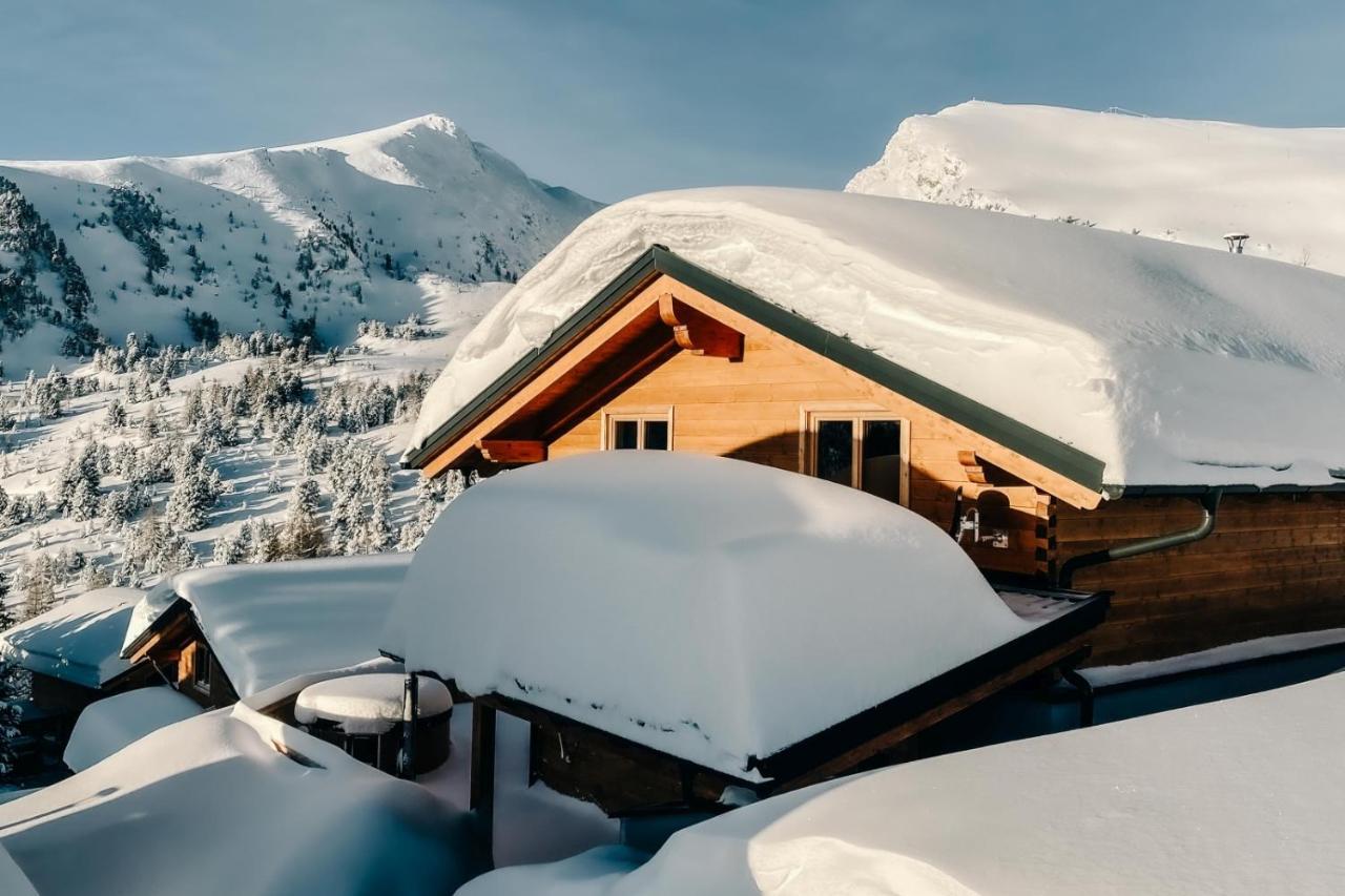 Heidi Chalets Falkert Heidialm - Chalets Bergwinter Patergassen 외부 사진