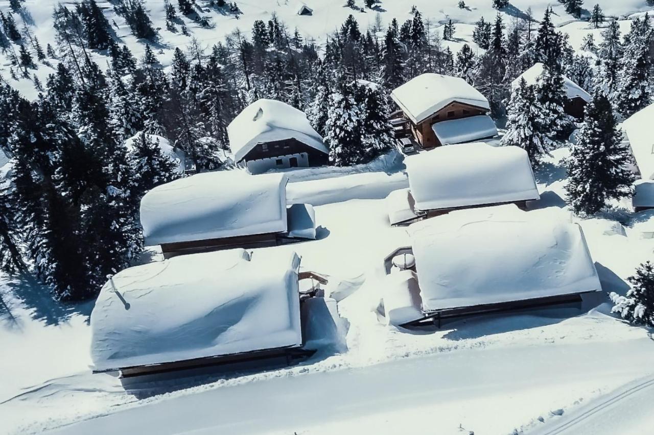 Heidi Chalets Falkert Heidialm - Chalets Bergwinter Patergassen 외부 사진