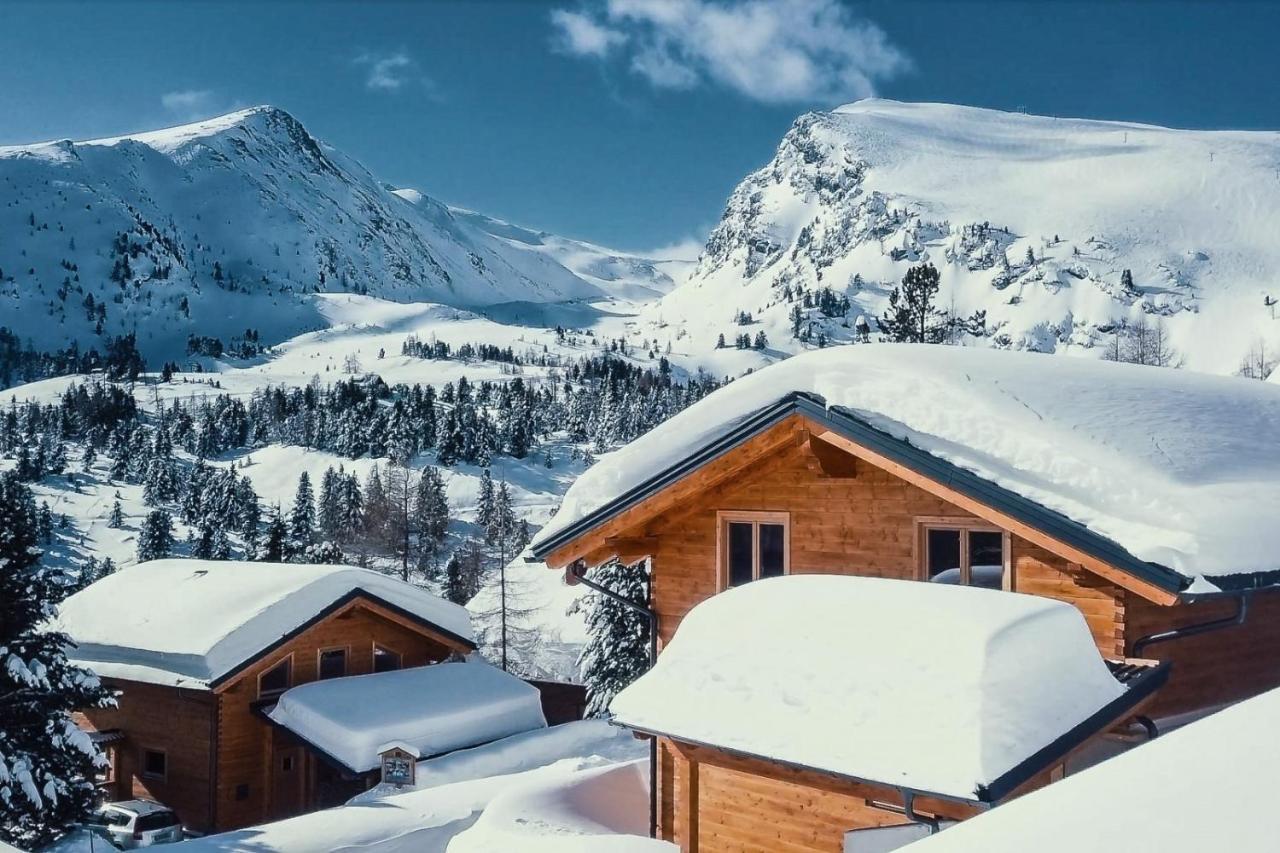 Heidi Chalets Falkert Heidialm - Chalets Bergwinter Patergassen 외부 사진